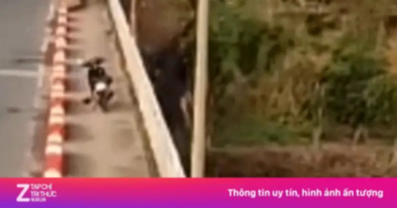 Người Đàn Ông Nhảy Cầu Sêrêpốk, Vùng Vẫy Kêu Cứu Trước Khi Mất Tích