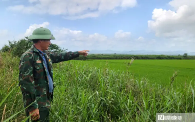 Người đàn ông Quảng Trị biến vùng đầm phá thành mô hình kinh tế xanh thu 700 triệu đồng/năm