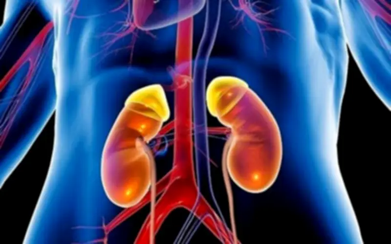 Người đàn ông suy thận giai đoạn cuối tránh chạy thận nhờ thói quen đơn giản