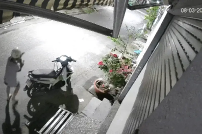 Người Phụ Nữ Bị Bắt Quả Tang Trộm Mèo Trước Cửa Nhà Ở Đồng Nai Gây Phẫn Nộ