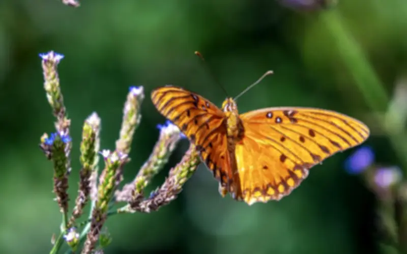 Người sinh vào khung giờ Tý Mão kiếm tiền giỏi bậc nhất nhưng khó giữ của