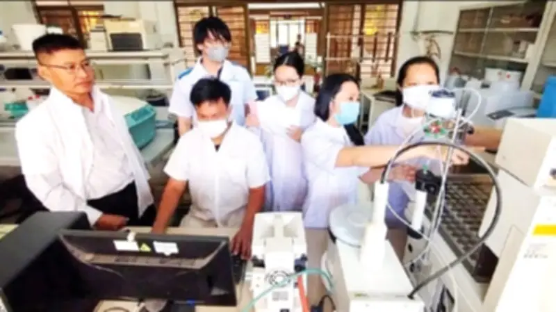 Ngải Trắng: Từ Dược Liệu Bản Địa Đến Sản Phẩm Bảo Vệ Sức Khỏe Chuẩn Hóa