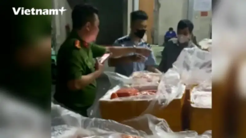 Ngăn chặn hơn 18 tấn thực phẩm đông lạnh nhập lậu tại biên giới phía Bắc