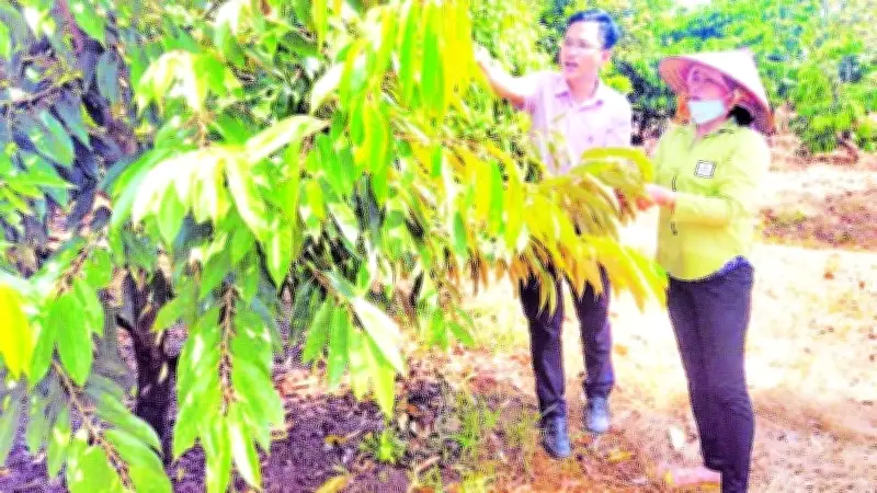 Ngân Hàng Chính Sách Xã Hội Đồng Nai Thúc Đẩy Phát Triển Vùng Xa, Giúp Dân Đổi Đời