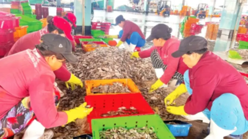 Ngành thủy sản Việt Nam chuyển đổi xanh: Cơ hội và thách thức trước cam kết Net Zero