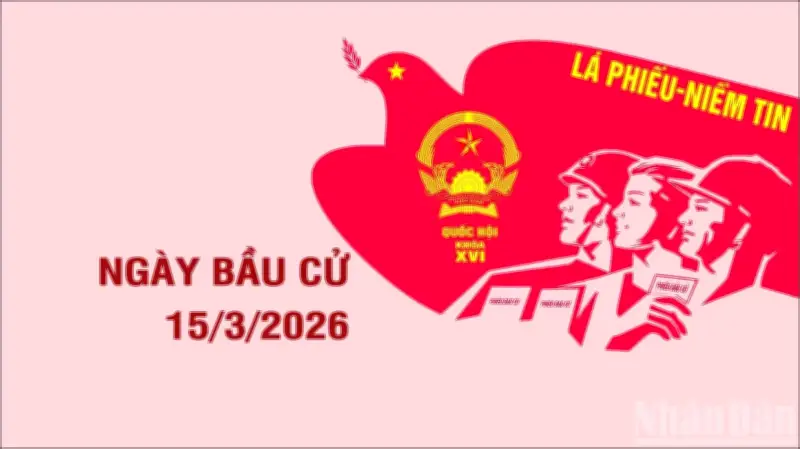 Ngày Bầu Cử Quốc Hội: Thông Tin Cần Biết Về Quyền Và Nghĩa Vụ Công Dân