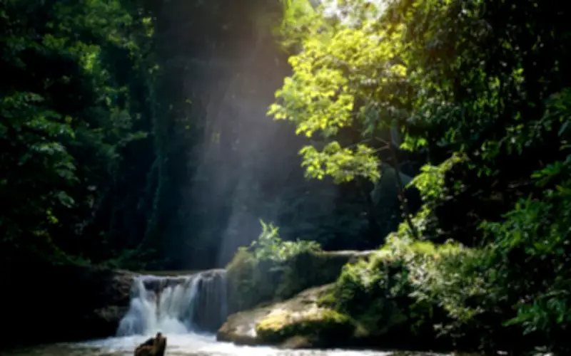 Ngày Sinh Âm Lịch: Chìa Khóa Mở Cánh Cửa Hậu Vận An Lành Đã Được Định Sẵn