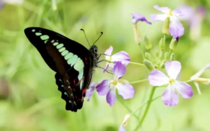 Ngày sinh âm lịch định sẵn số vượng phát: Đúng ngày này, nghèo mấy cũng có lúc đổi đời
