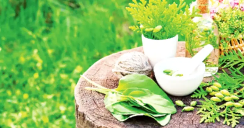 Ngày Thế giới Hoang dã 2024: Bảo tồn cây thuốc và cây thơm trước nguy cơ tuyệt chủng