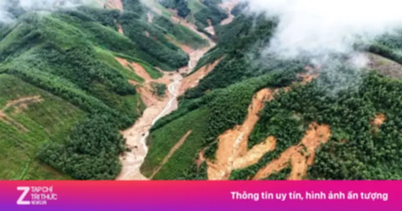 Đỉnh Bạch Mã Huế Ghi Nhận Gần 500mm Mưa Chỉ Trong Một Đêm