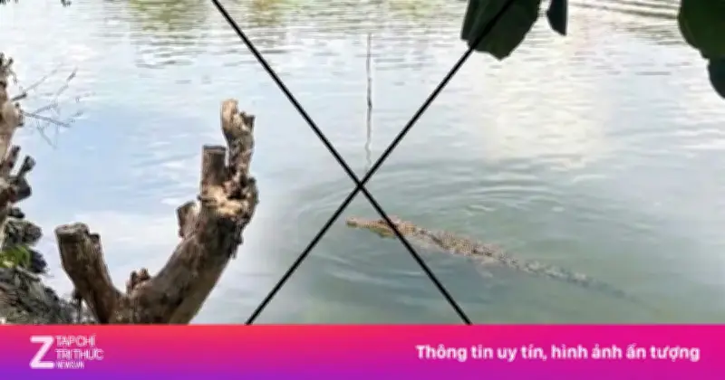 Ảnh Cá Sấu AI Gây Xôn Xao Ở Cà Mau: Chỉ Là Trò Đùa Hù Em Gái