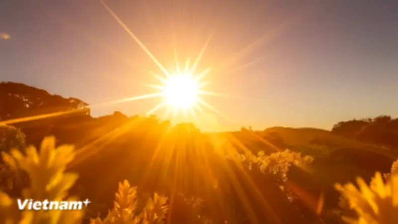 Ánh sáng mặt trời: Yếu tố không thể thiếu cho sức khỏe con người