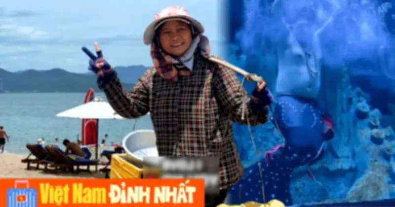 Nha Trang 2026: Sức Hút Từ Cảnh Đẹp Và Những 'Đại Sứ Du Lịch' Đặc Biệt