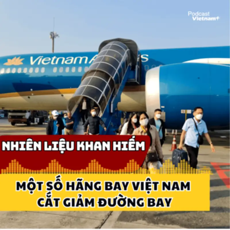Nhiên liệu khan hiếm, một số hãng bay Việt Nam cắt giảm đường bay