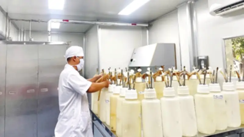 Những Chú Ngựa Thầm Lặng Ở Suối Dầu: Cống Hiến Máu Cứu Người Trên Lằn Ranh Sinh Tử