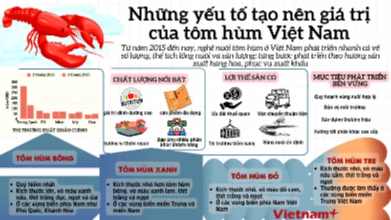 Những yếu tố tạo nên giá trị đặc biệt cho tôm hùm Việt Nam