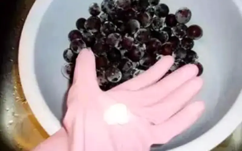 Nho: Trái cây dinh dưỡng nhưng cảnh báo nguy cơ thuốc trừ sâu cao