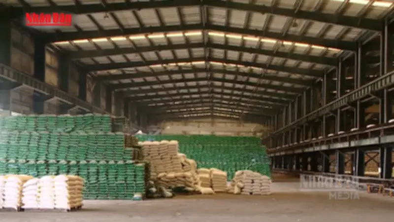 Nhập khẩu phân bón giảm mạnh 48% trong hai tháng đầu năm 2024