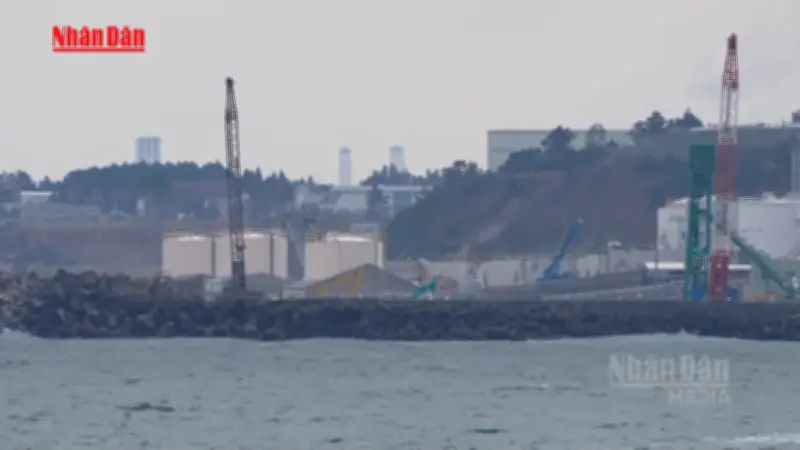 Nhật Bản chính thức khởi động lại nhà máy điện hạt nhân sau 15 năm thảm họa Fukushima