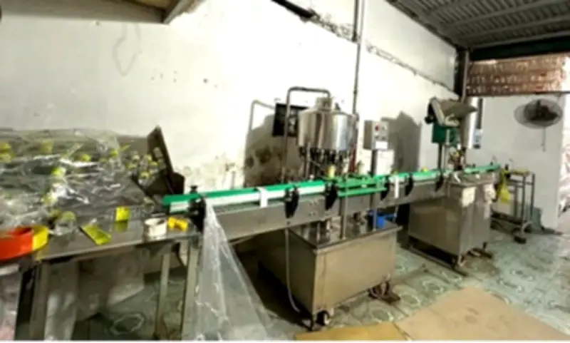 Ninh Bình: Khởi tố, bắt tạm giam bị can sản xuất dâm giả với số lượng lớn