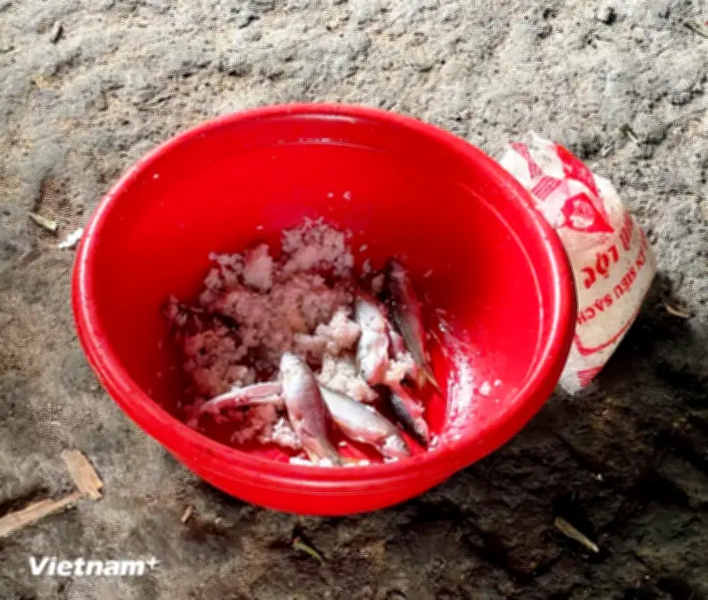 Đà Nẵng: 13 học sinh nhập viện nghi ngộ độc sau khi uống trà sữa