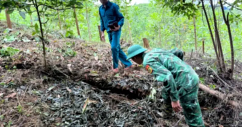 Đà Nẵng công bố tình huống khẩn cấp do sạt lở đe dọa trường học và khu dân cư