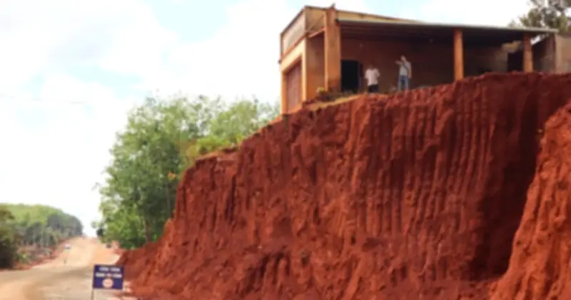 Nâng cấp đường gây bất cập: Bài học từ 3 cây sộp cổ thụ ở Phú Yên