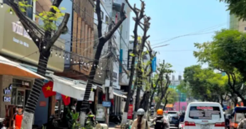 Đà Nẵng: Cắt trụi cây xanh giữa nắng nóng gay gắt gây bức xúc dư luận