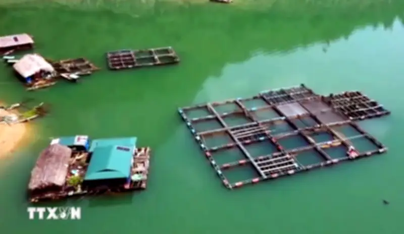 Nông Dân Thu Hàng Trăm Triệu Đồng Từ Các Mô Hình Kinh Tế Mới