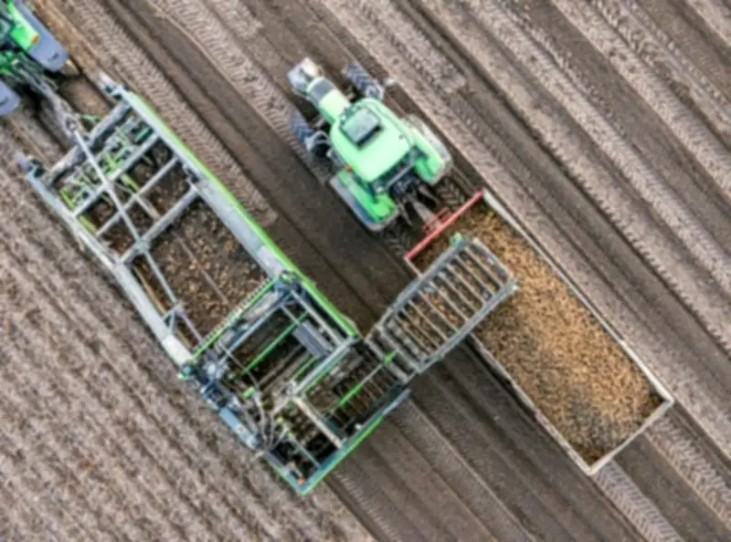 Nông dân trồng khoai tây ở EU nếm trái đắng vì dư cung, giá sụt giảm mạnh