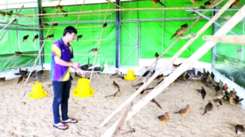 Nông dân Tuyên Quang chuyển mình mạnh mẽ, hàng chục nghìn hộ đạt danh hiệu sản xuất kinh doanh giỏi