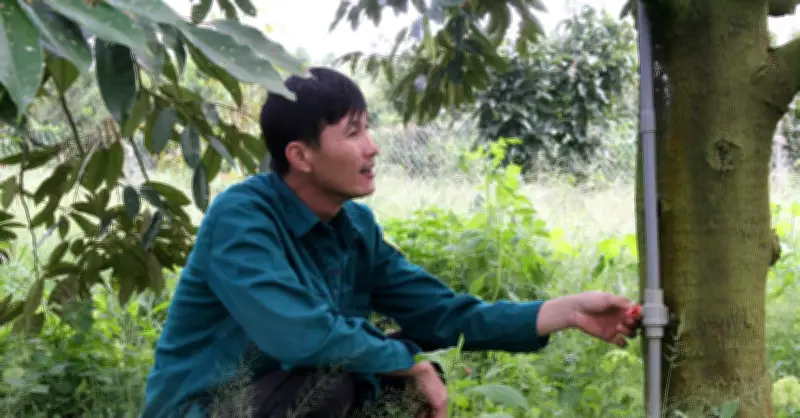 Nông dân Tây Nguyên thích ứng biến đổi khí hậu, giữ sinh kế bền vững