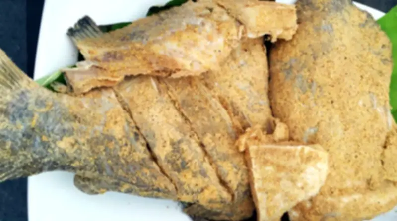 Đà Nẵng: Hai người nghi ngộ độc thực phẩm sau khi ăn món cá ủ chua