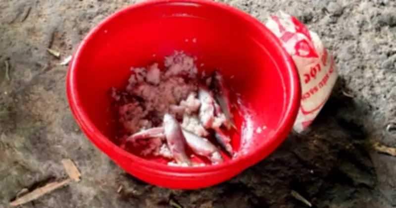 Đà Nẵng khẩn cấp tăng cường phòng chống ngộ độc Botulinum từ thực phẩm ủ chua