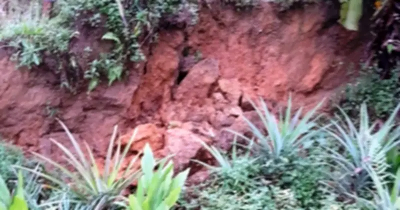 Đà Nẵng khẩn cấp xây khu tái định cư 20 tỉ đồng ứng phó sạt lở đất tại thôn A Điêu