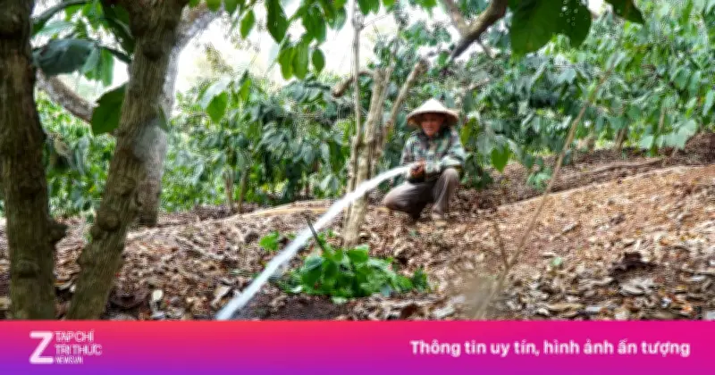 Nông, Ngư Dân Đối Mặt Giá Nhiên Liệu: Chuyển Sang Tưới Điện, Bán Cá Giữa Biển