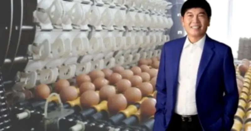 Nông nghiệp Hòa Phát công bố kế hoạch kinh doanh 2026: Doanh thu 7.200 tỷ, lợi nhuận giảm mạnh