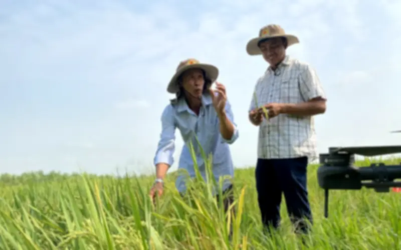 Nông nghiệp Việt giữ vững mục tiêu tăng trưởng giữa biến động địa chính trị và chi phí leo thang