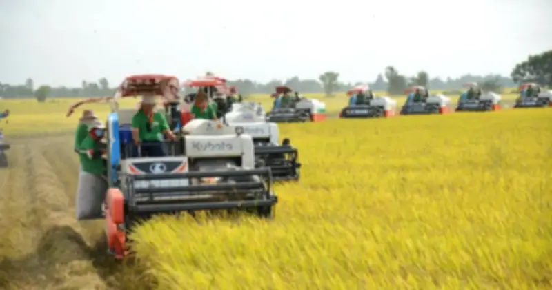 Nông nghiệp Việt Nam vượt bão, xuất khẩu lập kỷ lục bất chấp khủng hoảng toàn cầu