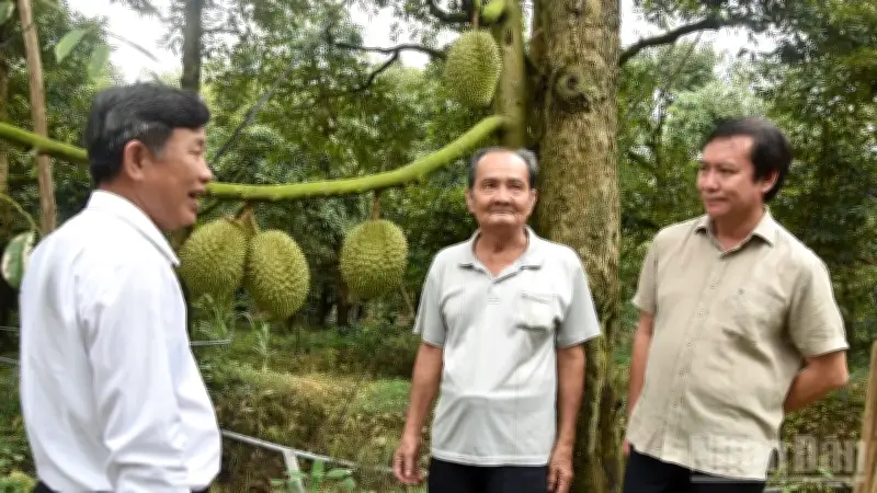 Nông Nghiệp Việt: Từ Sản Lượng Đến Phát Triển Bền Vững Và Giá Trị Con Người
