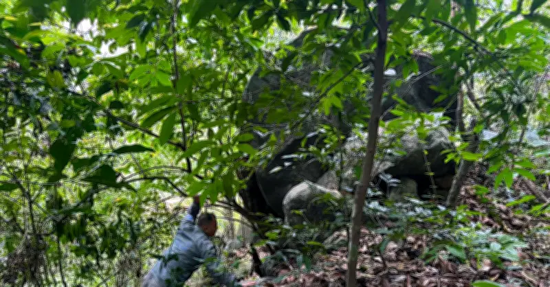 Đà Nẵng: Nhiều tầng nguy cơ sạt lở đất tại đèo Bảo Lộc trong mùa mưa bão