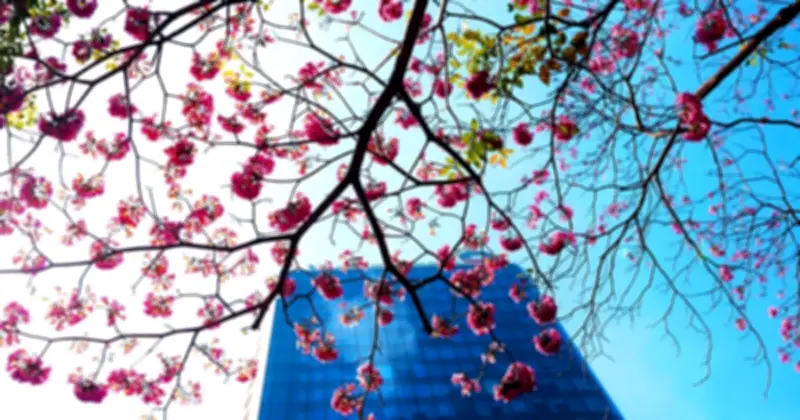 Nắng nóng gay gắt bao trùm Nam bộ, nhiệt độ vượt lịch sử, TP.HCM đối mặt đỉnh điểm