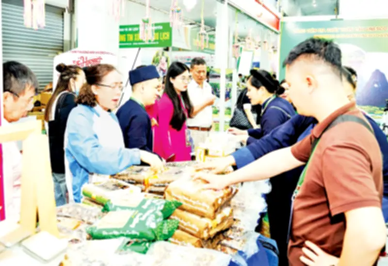 Nông Sản Miền Núi Loay Hoay Tìm Đường Ra Thị Trường: Kênh Phân Phối Hạn Chế