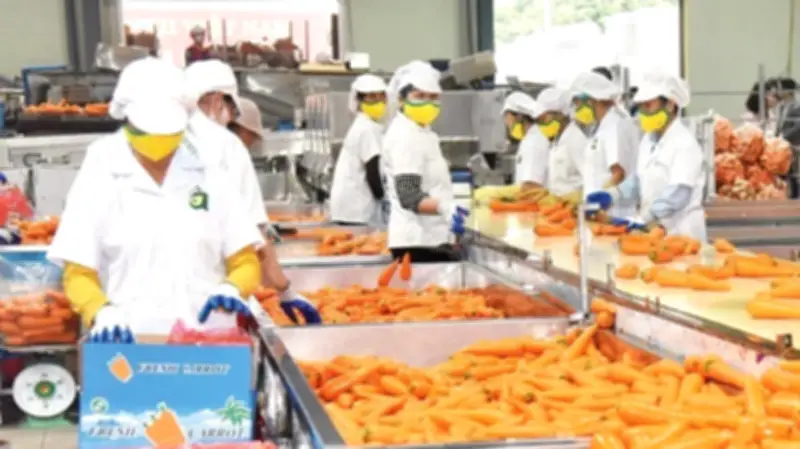 Nông Sản Việt Chinh Phục Siêu Thị Quốc Tế: Từ Gạo A An Đến VIFON Và Dừa Lương Quới