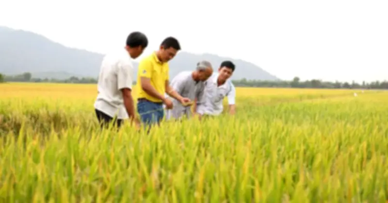 Nông sản Việt đối mặt cảnh báo dư lượng chất cấm, xuất khẩu lao đao