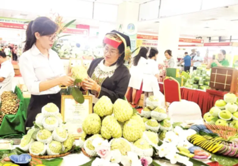 Nông Sản Vùng Cao 'Hạ Sơn' Thành Công Nhờ Đa Dạng Kênh Phân Phối Hiện Đại