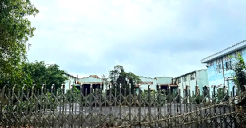 Đà Nẵng tổ chức đấu giá loạt tài sản của đại gia Huy 'Máy Nổ'