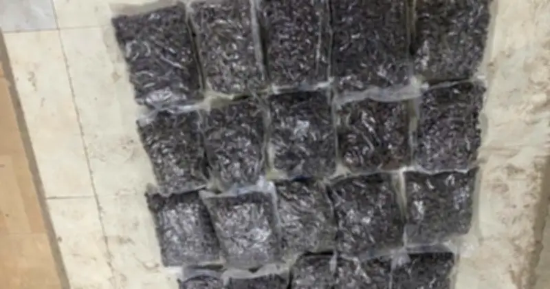 Đà Nẵng triệt phá đường dây buôn cần sa qua mạng, thu giữ 20kg ma túy