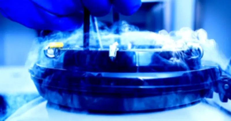 Não chết vẫn sống lại? Thí nghiệm đóng băng sâu gây chấn động giới khoa học toàn cầu