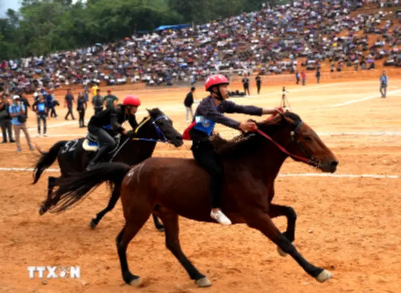 Nét Riêng Độc Đáo Của Dưa Ngựa Vùng Cao Thu Hút Du Khách